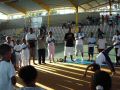 galo entredeux 07.jpg